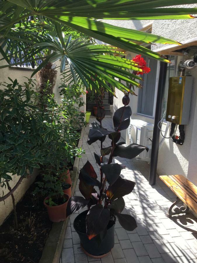 10 Shindisi Street,tbilisi Apartment *